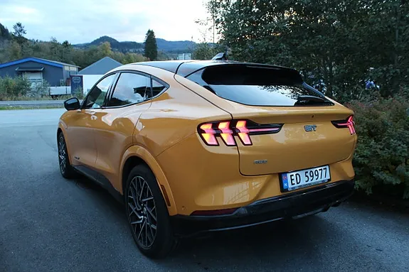 Ford Mustang Mach-E 2021 photo 3