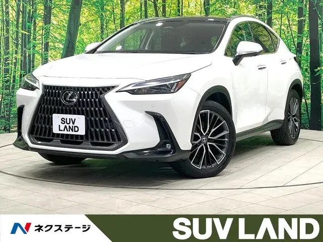 Lexus Nx 350H