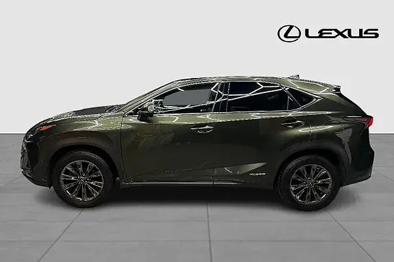 Lexus Nx300H 2021 photo 2