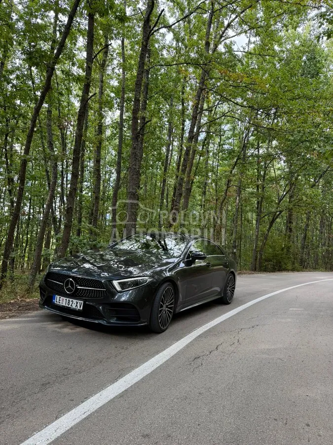 Mercedes-Benz Cls 2019 photo 2
