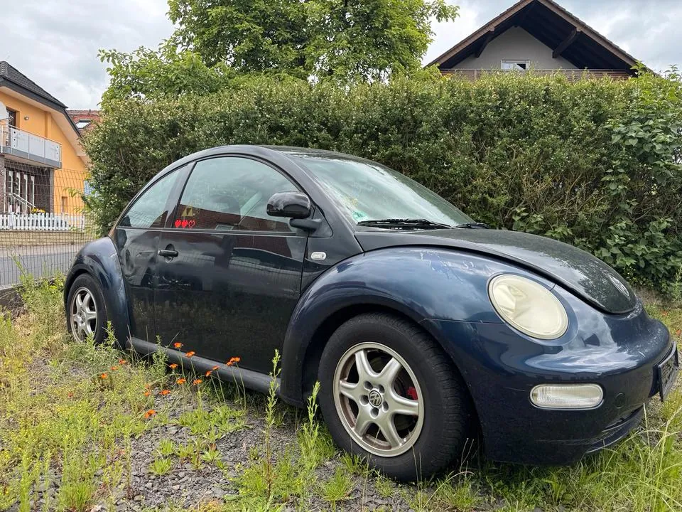Volkswagen New Beetle