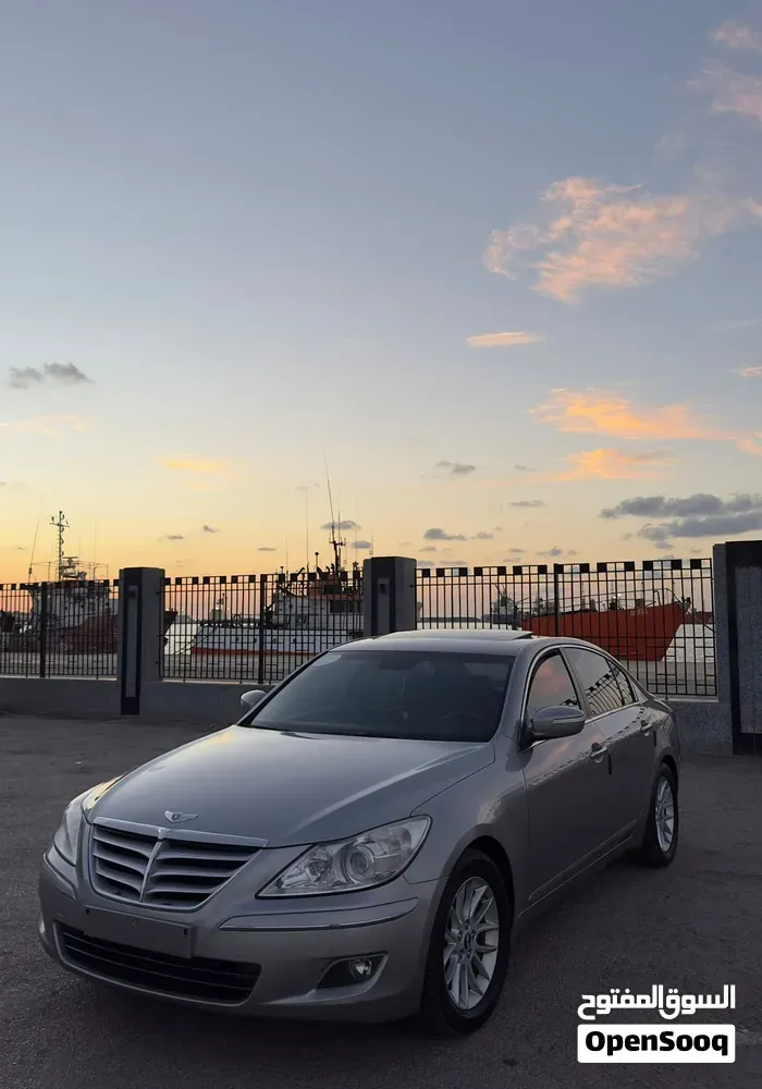 Genesis Sonata 2009 photo 4