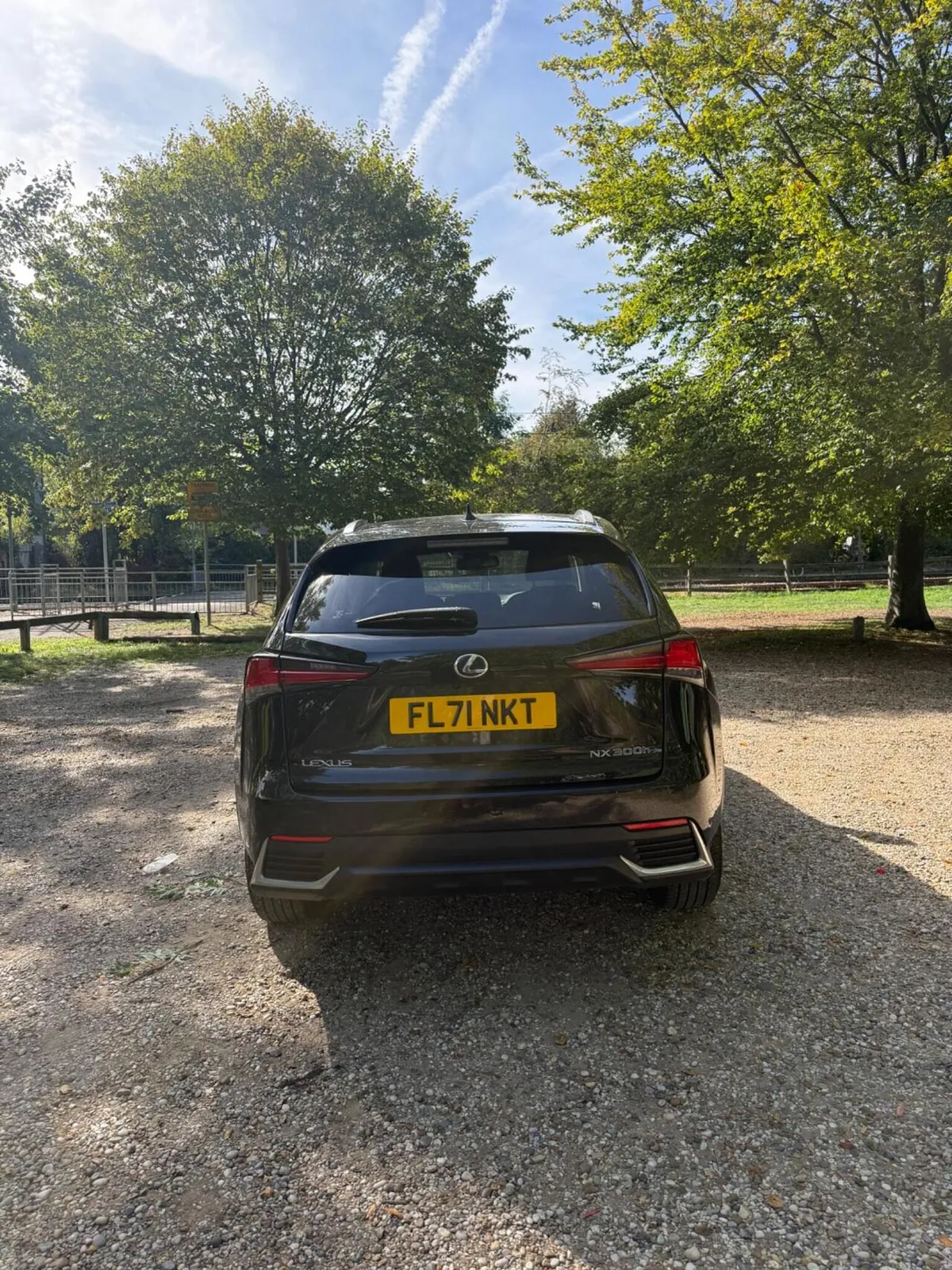 Lexus Nx 2021 photo 4