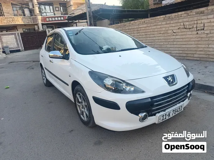 Peugeot 307 2006 photo 3