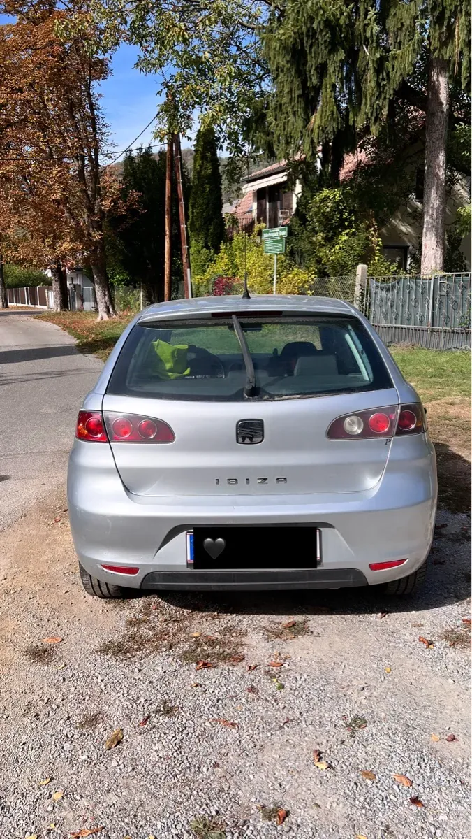 Seat Ibiza 2008 photo 3