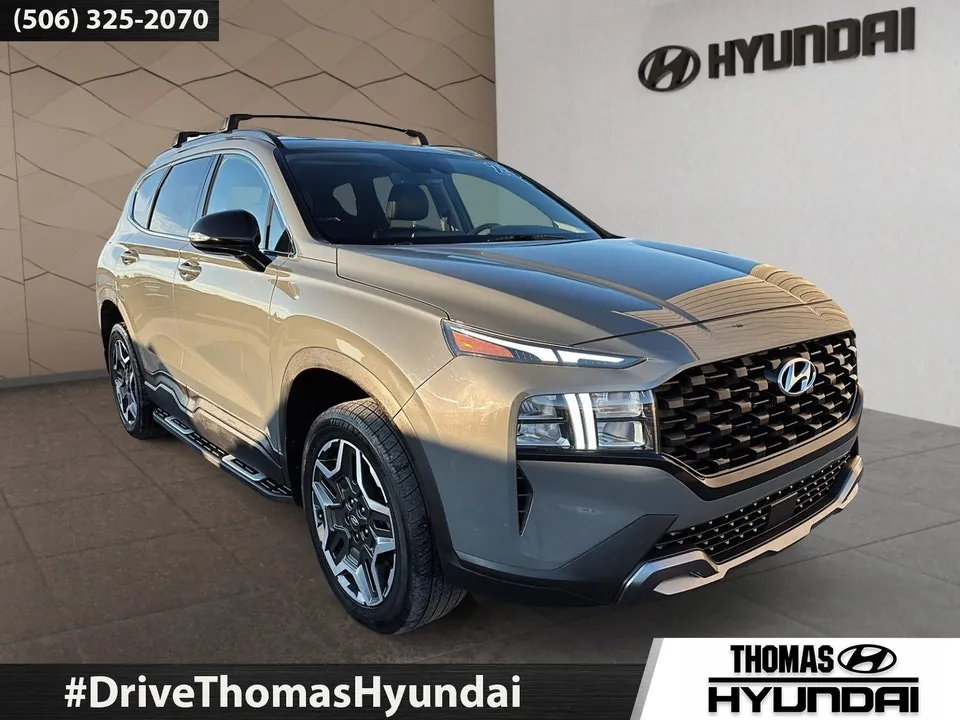 Hyundai Santa Fe 2023 photo 2
