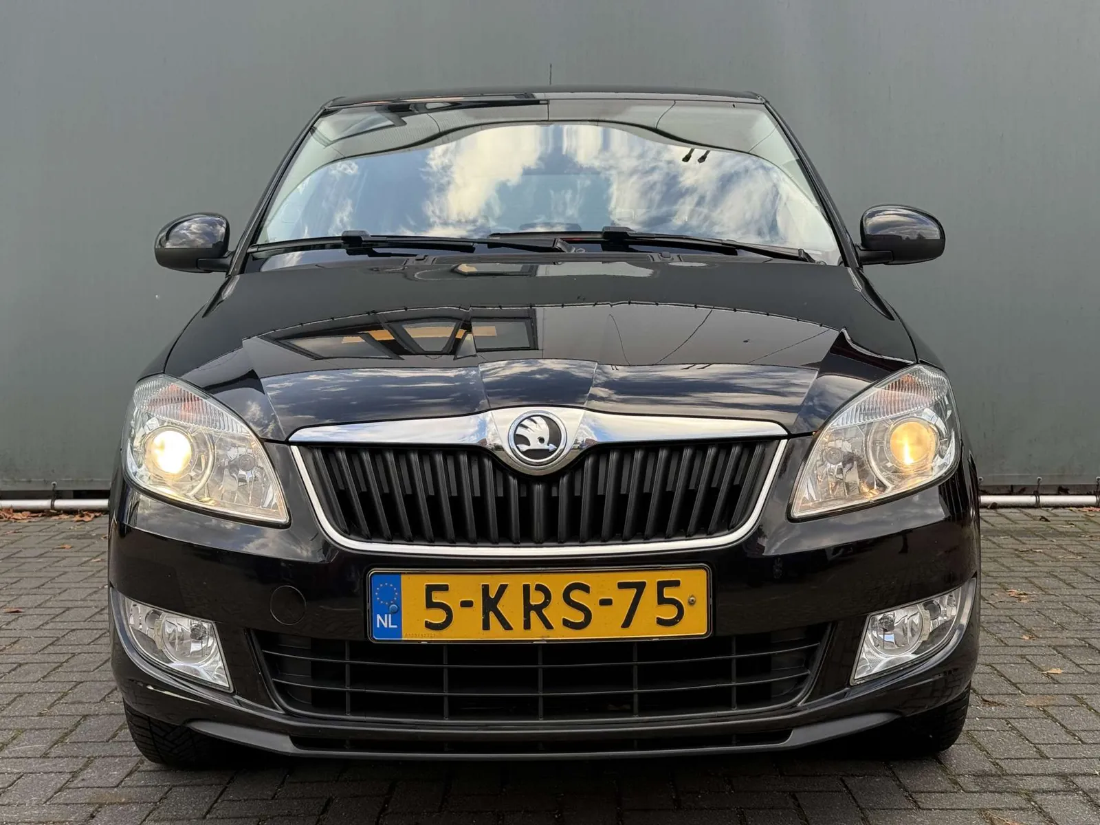 Skoda Fabia Combi 2013 photo 4