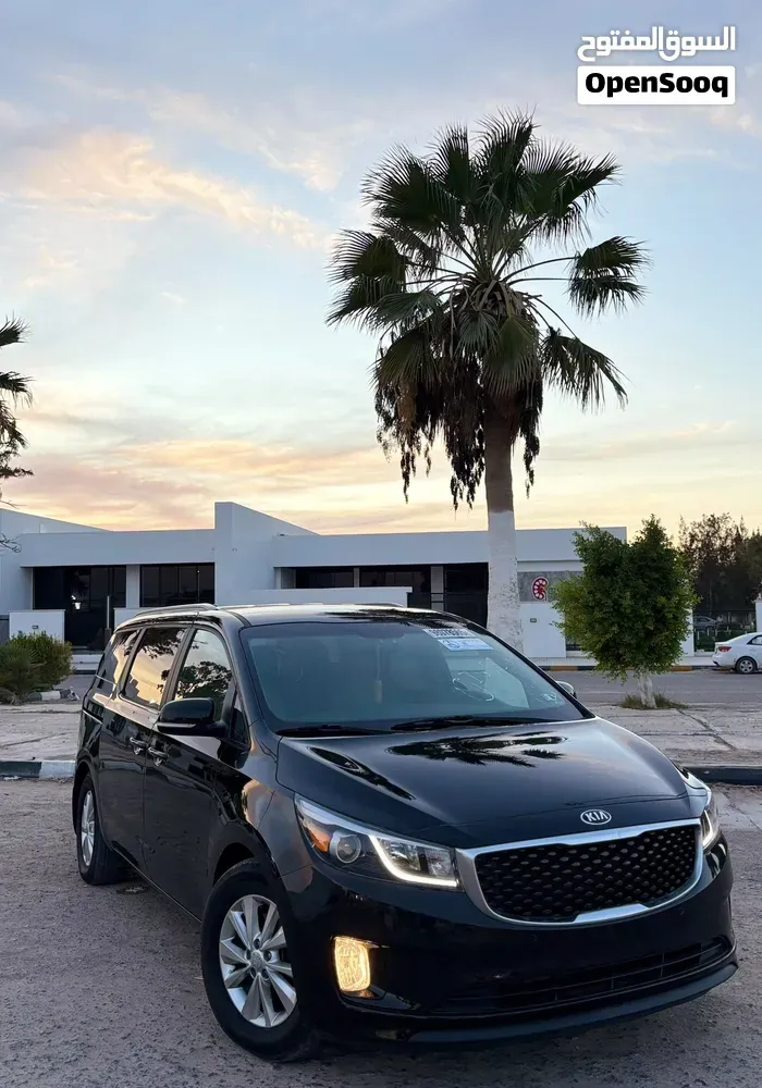 Kia Sedona 2015 photo 3