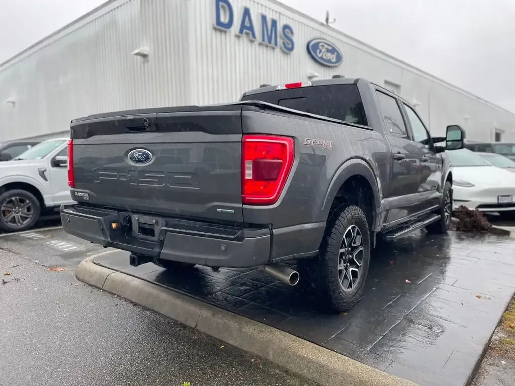 Ford F-150 2022 photo 3