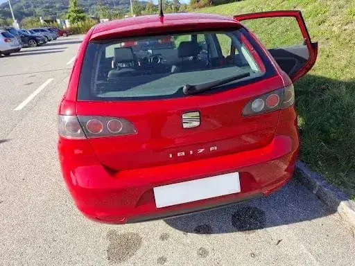 Seat Ibiza 2009 photo 3