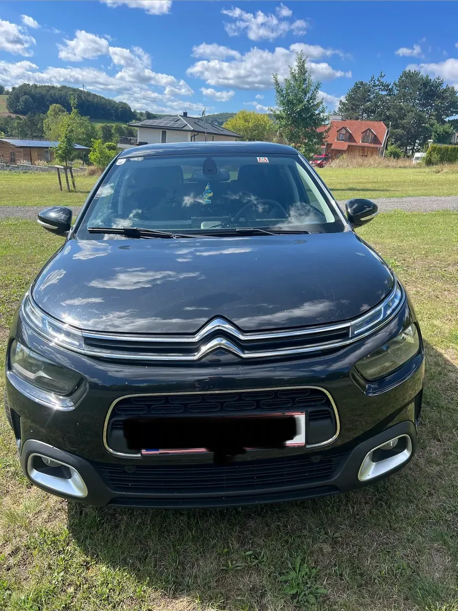 Citroen C4 Cactus 2019 photo 2
