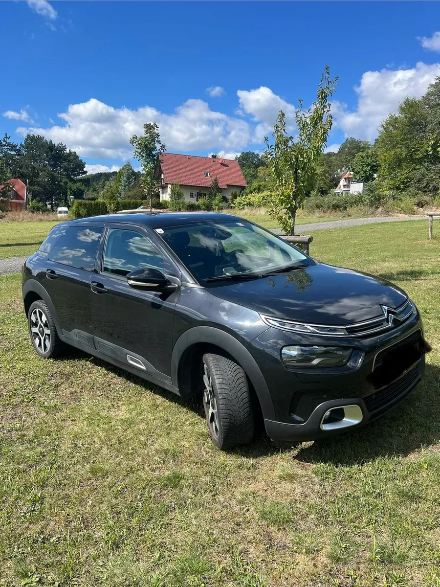 Citroen C4 Cactus 2019 photo 3