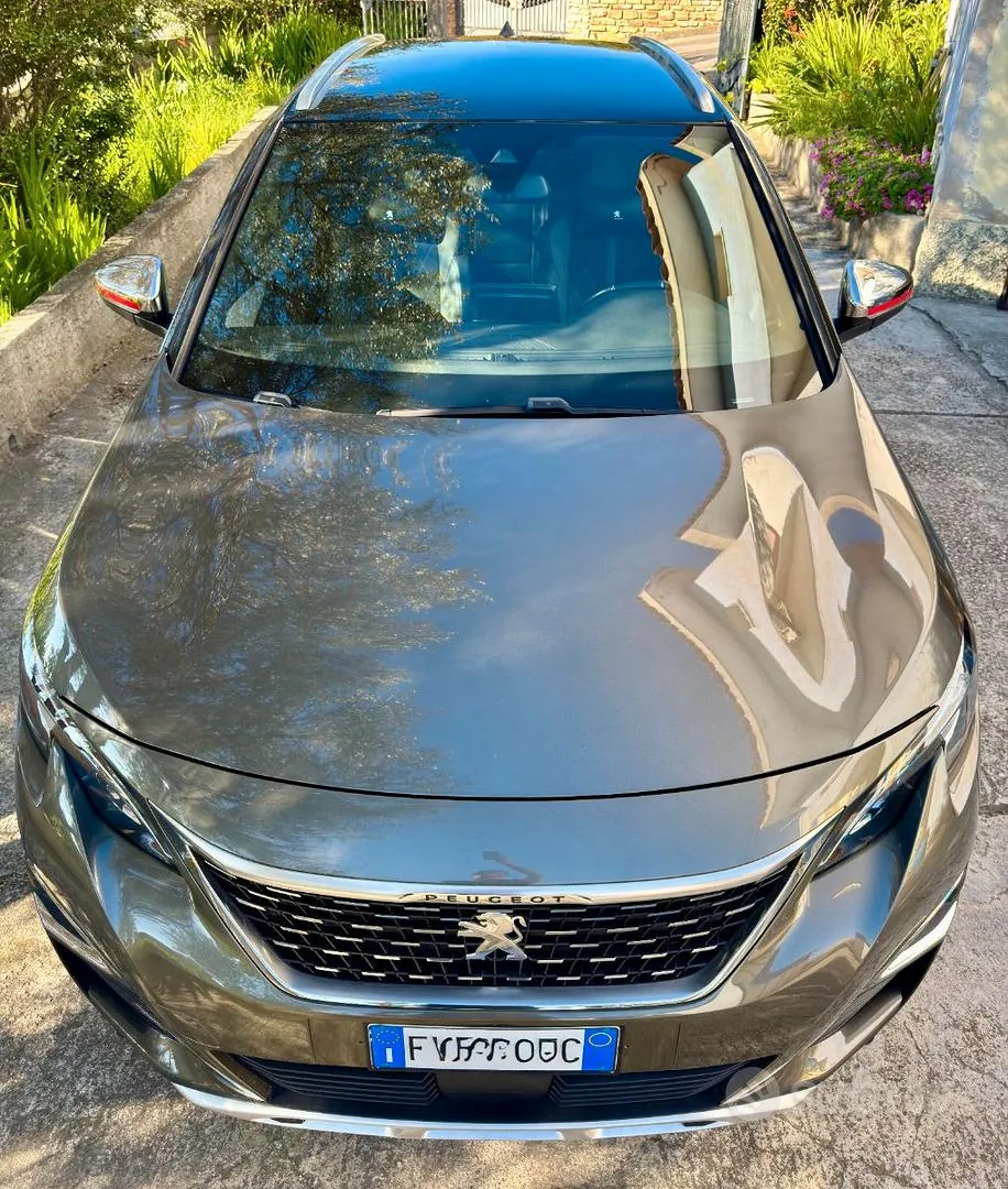 Peugeot 3008 2019 photo 3