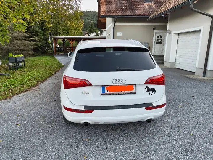 Audi Q5 2009 photo 3