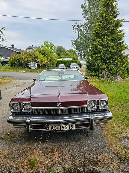 Buick Le Sabre 1974 photo 3