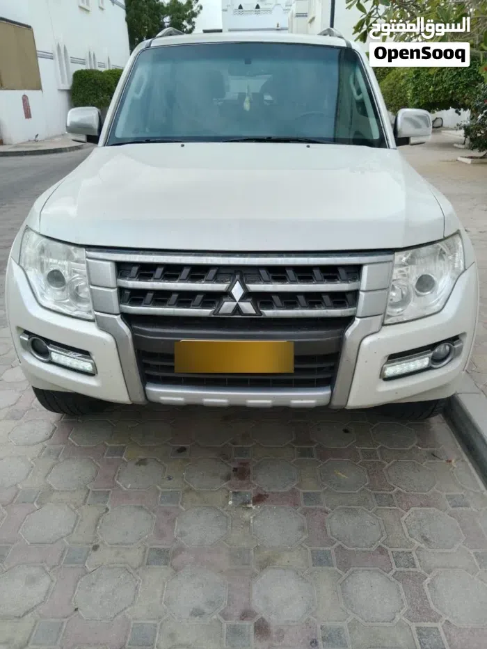 Mitsubishi Pajero 2019 photo 2