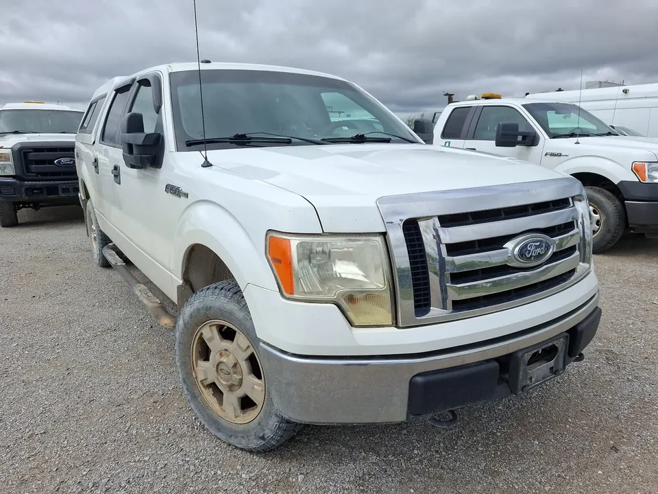 Ford F-150 2009 photo 3