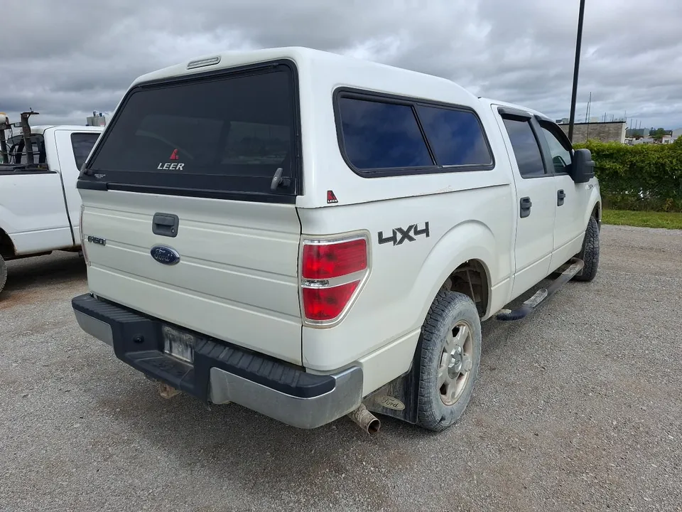 Ford F-150 2009 photo 5