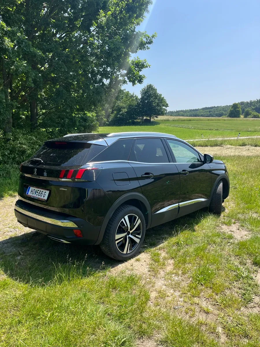 Peugeot 3008 2019 photo 2