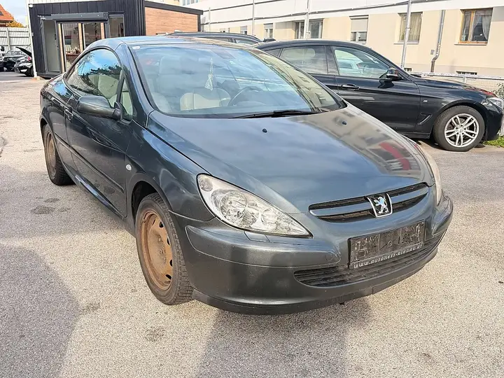 Peugeot 307 2004 photo 2