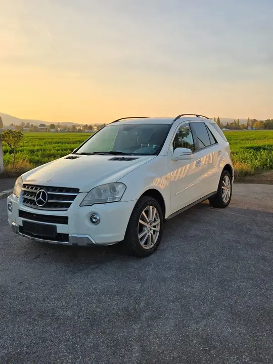 Mercedes-Benz M-Class 2010 photo 2