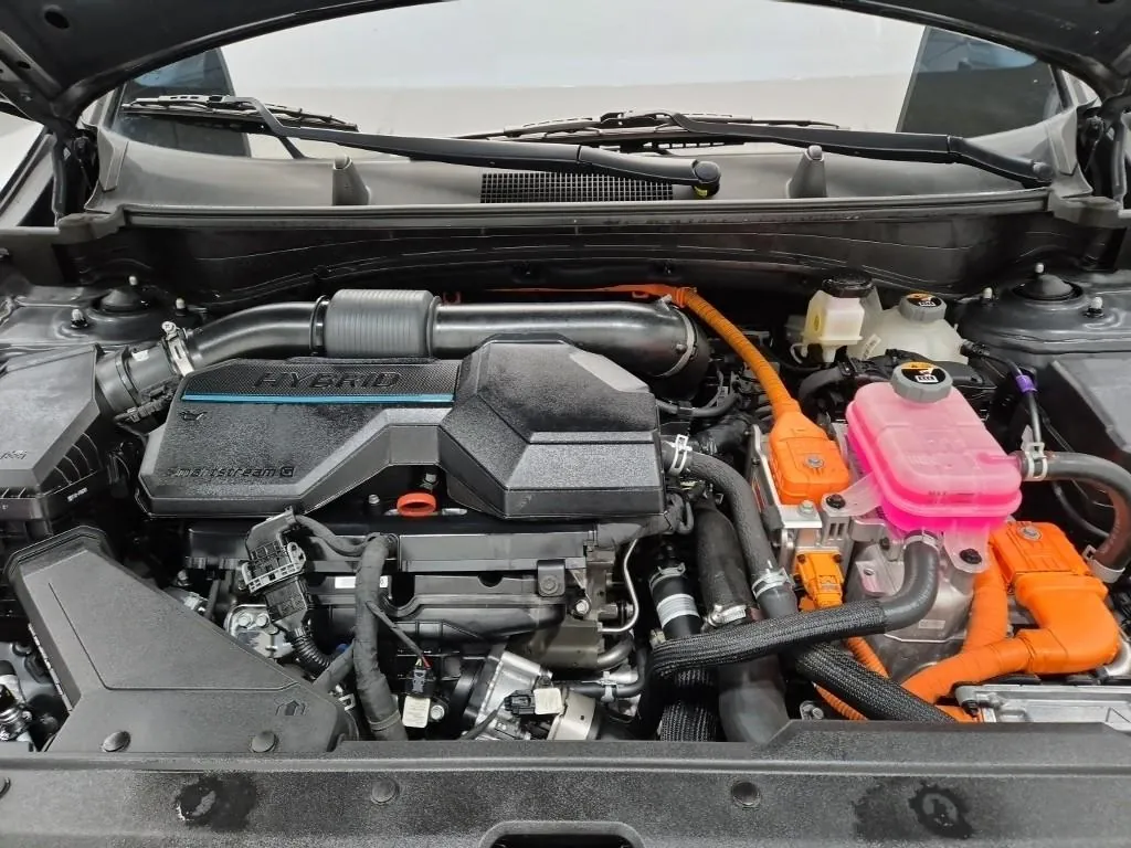 Kia Sportage 2024 photo 5