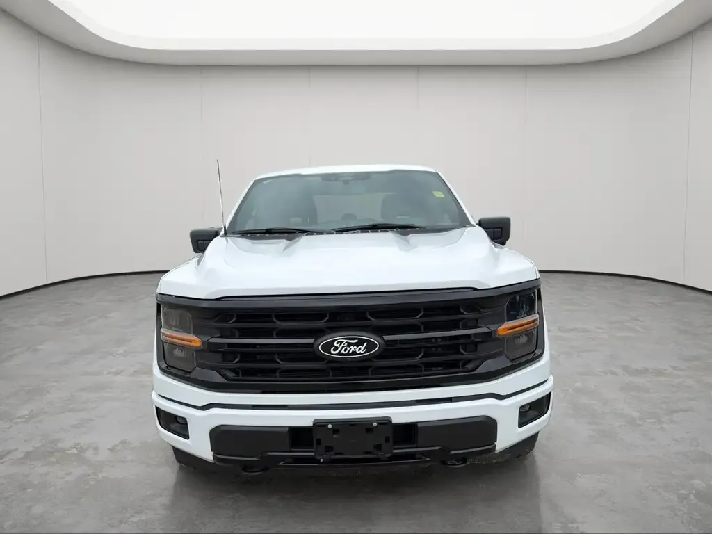 Ford F-150 2024 photo 2
