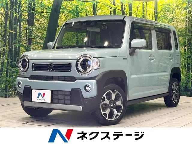 Suzuki Hauser X