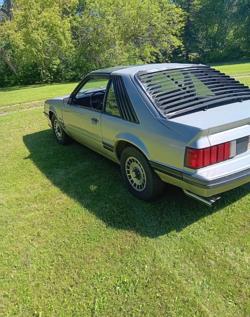 Ford Mustang 1982 photo 5