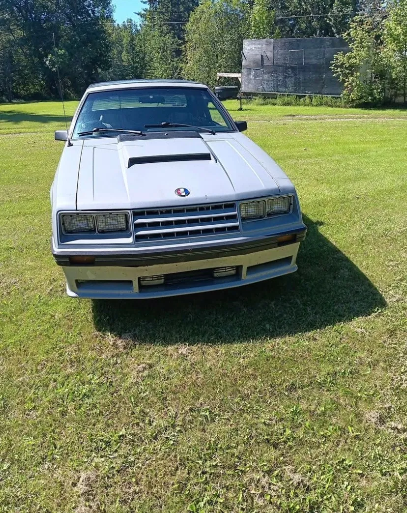 Ford Mustang 1982 photo 4