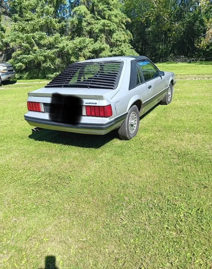 Ford Mustang 1982 photo 2