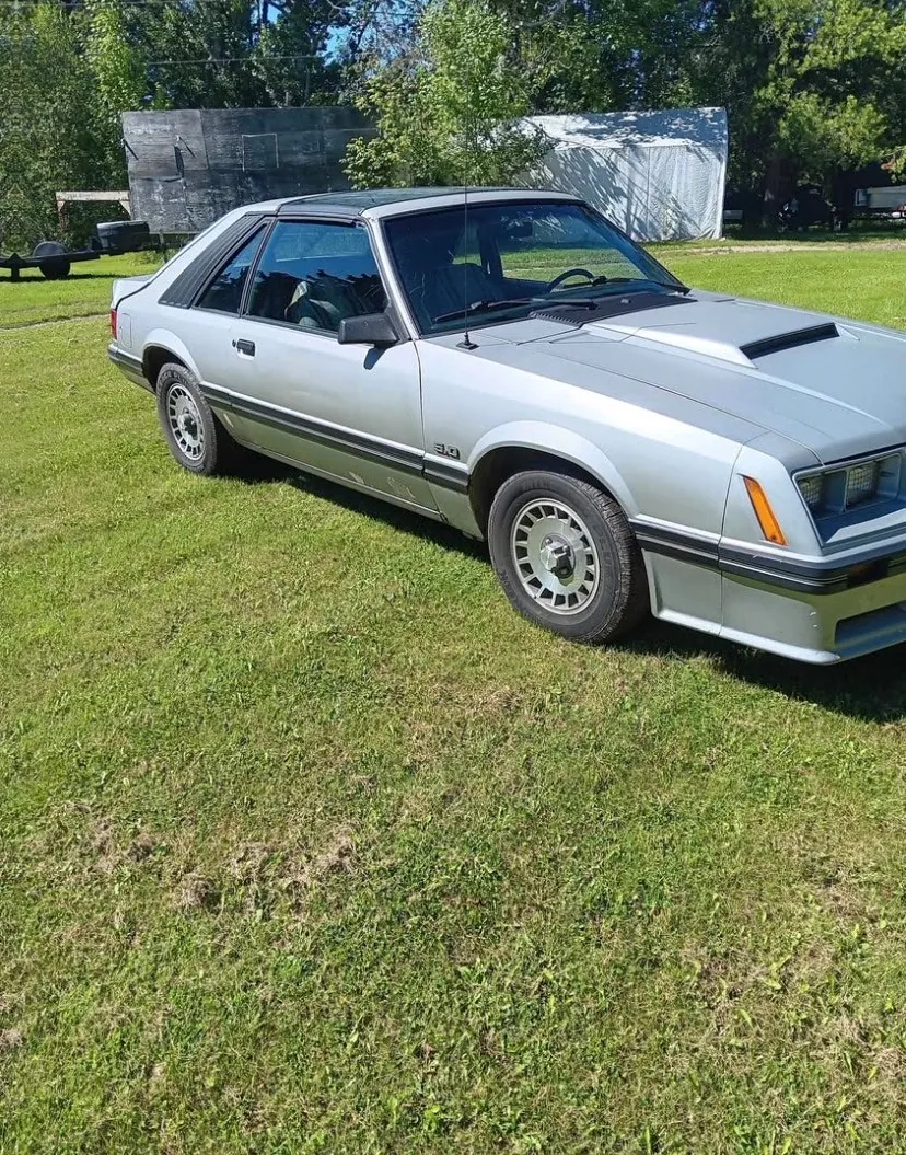 Ford Mustang 1982 photo 3