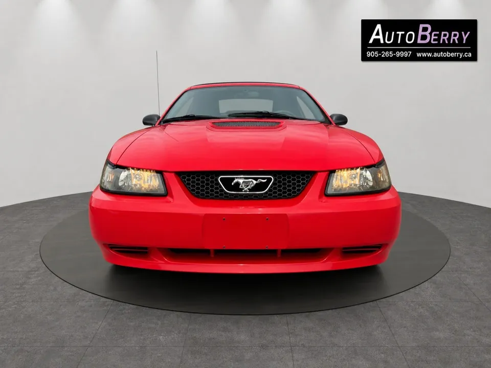 Ford Mustang 2000 photo 5