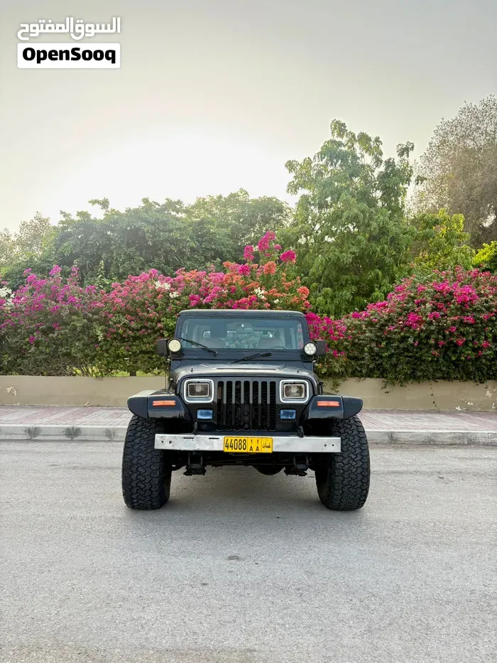 Jeep Wrangler 1997 photo 5
