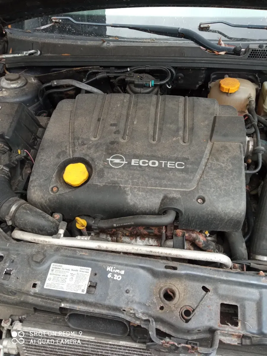 Opel Signum 2007 photo 2