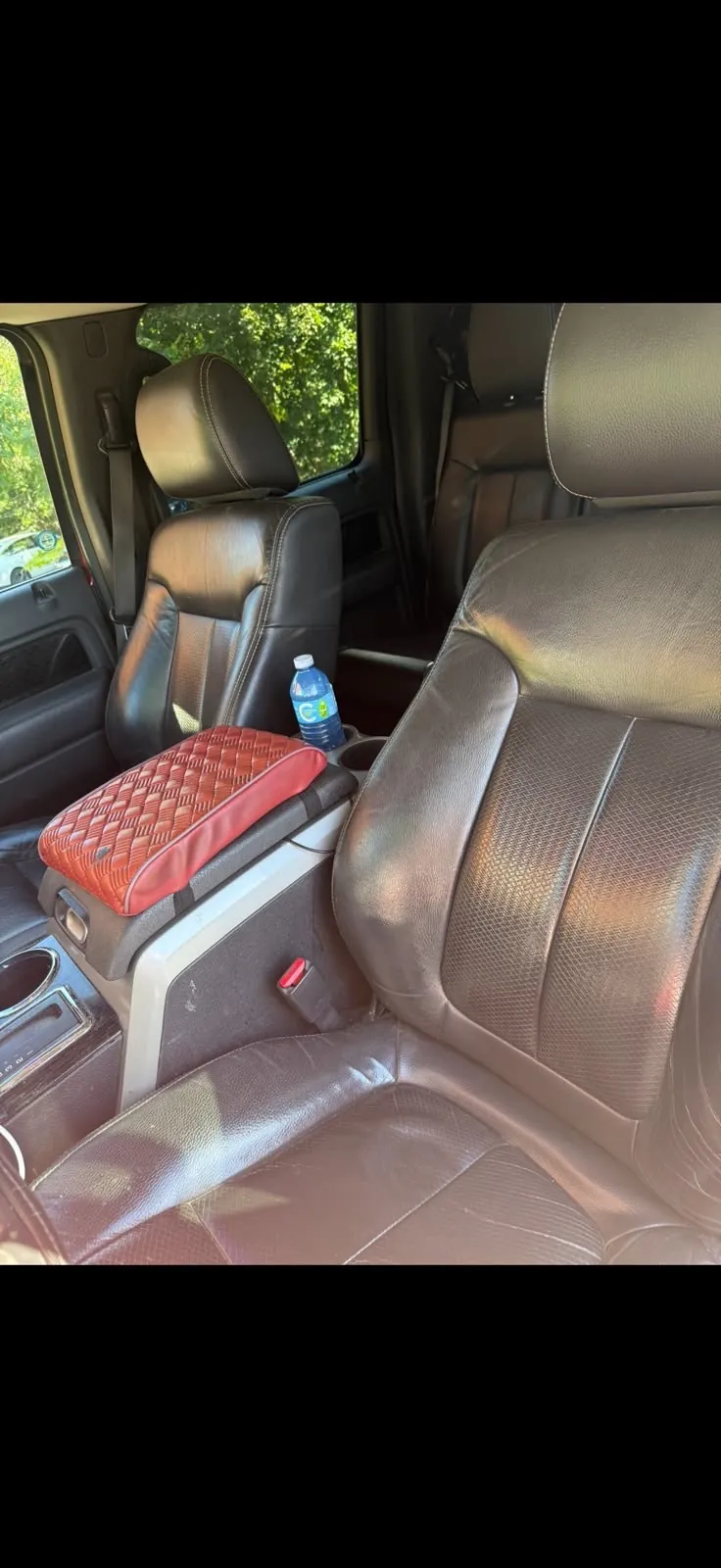 Ford F-150 2010 photo 3
