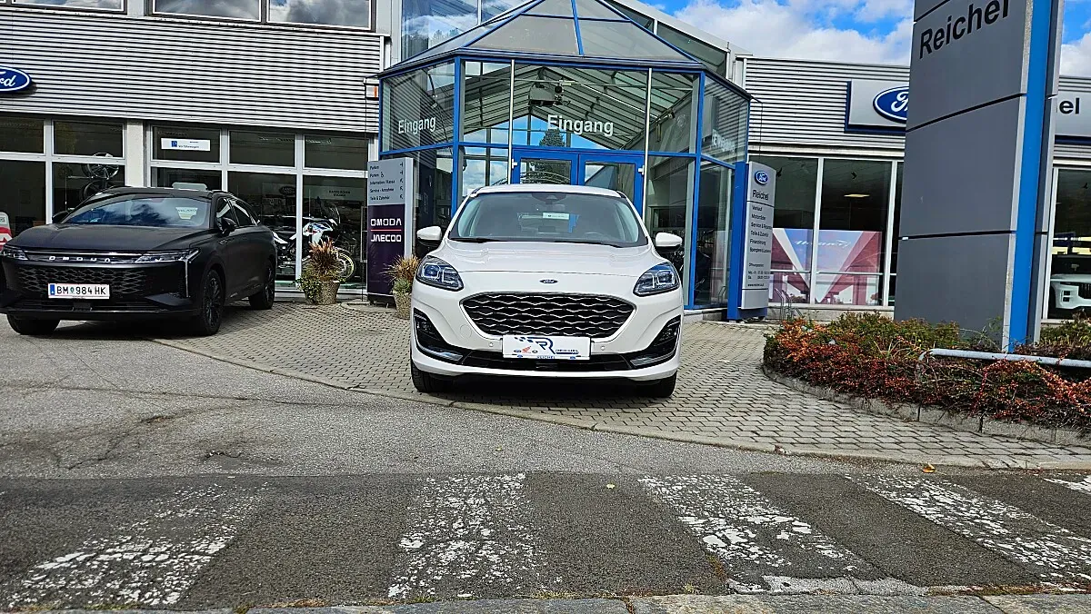 Ford Kuga 2021 photo 2