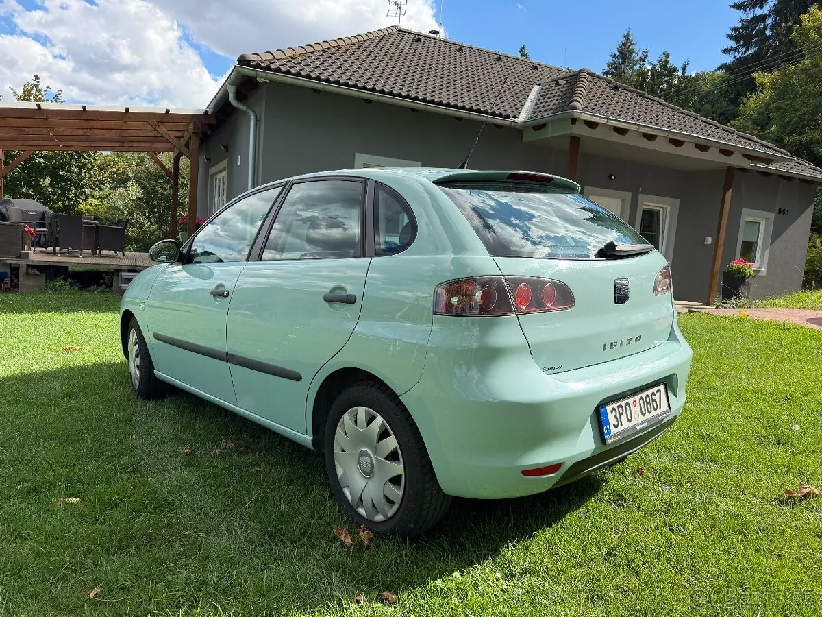 Seat Ibiza 2007 photo 5