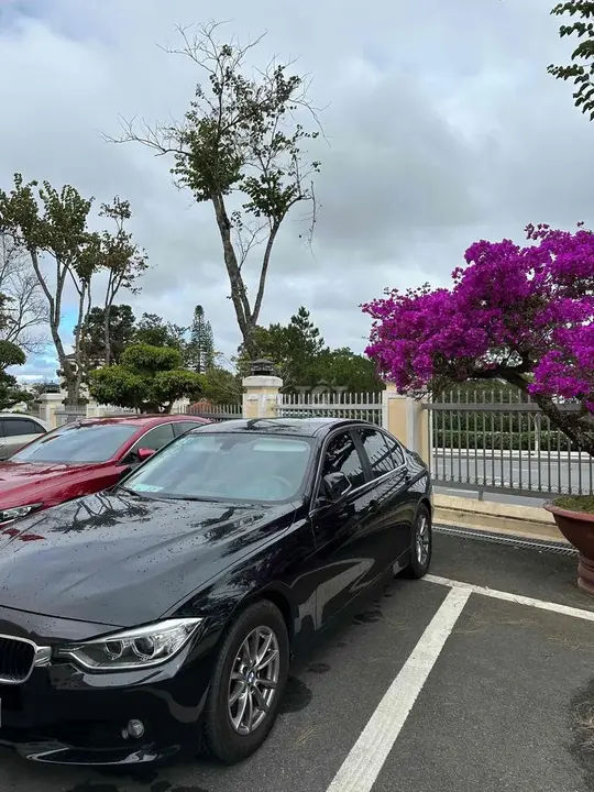 BMW 3 Series 2014 photo 2