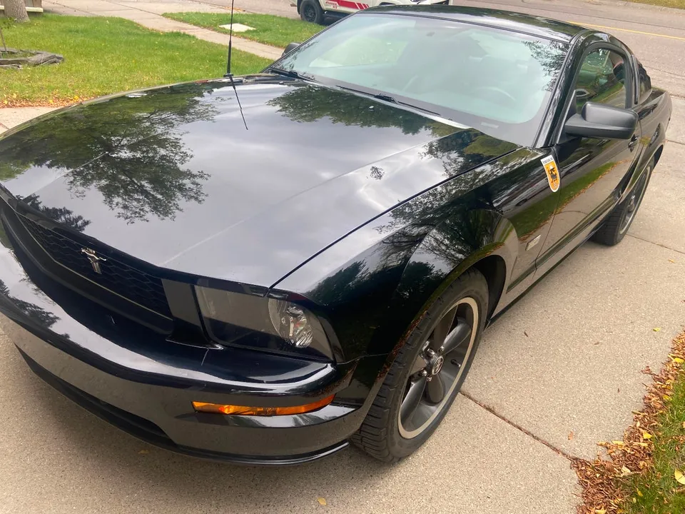 Ford Mustang 2008 photo 2
