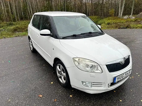 Skoda Fabia 2009 photo 2