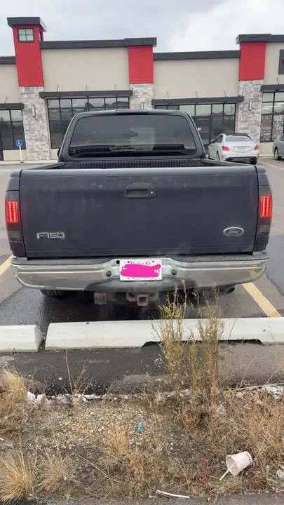 Ford F-150 1999 photo 3