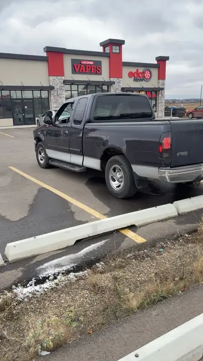 Ford F-150 1999 photo 4