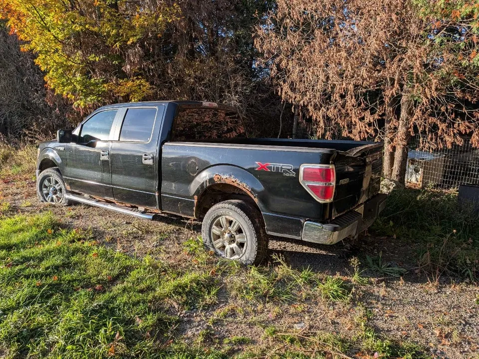 Ford F-150 2010 photo 3