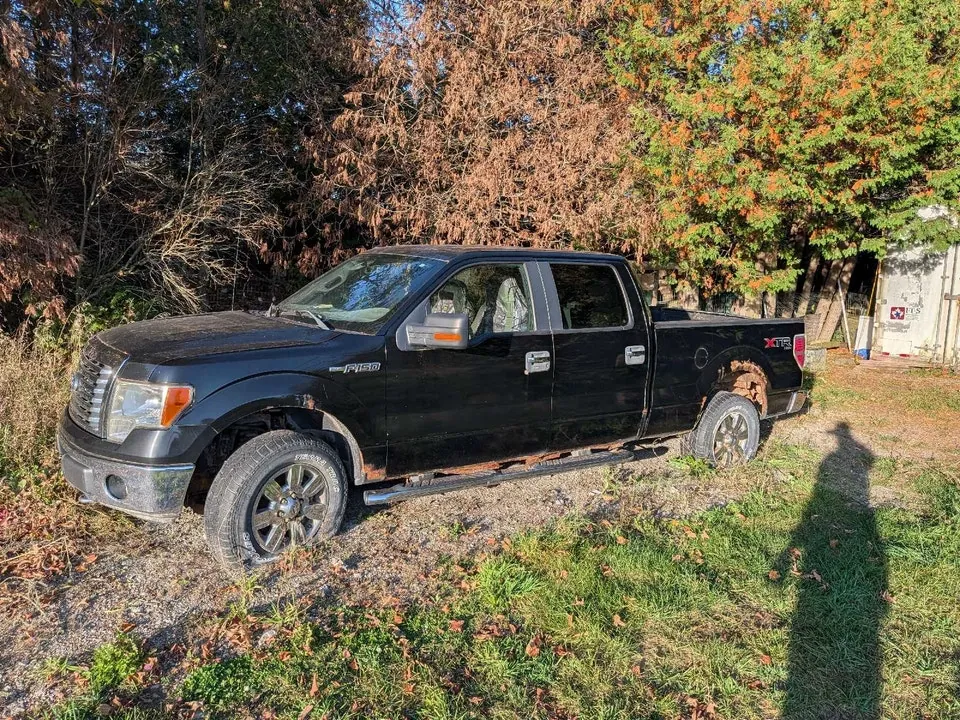 Ford F-150 2010 photo 2