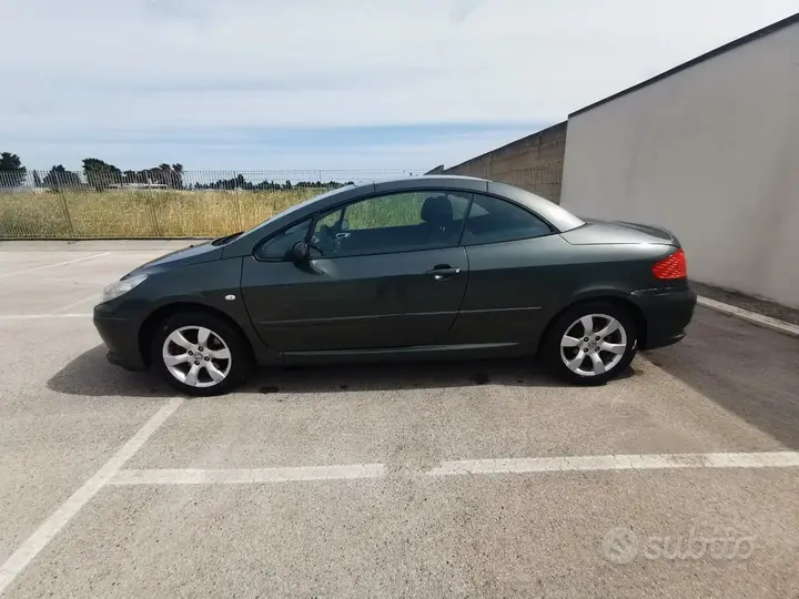 Peugeot 307 2006 photo 4