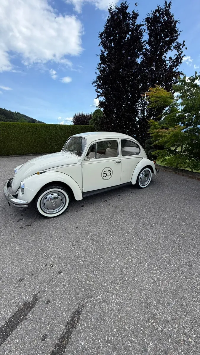 Volkswagen Käfer