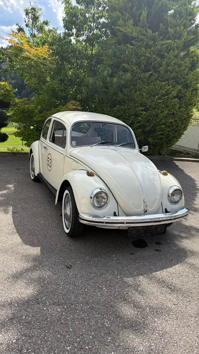 Volkswagen Käfer 1968 photo 2