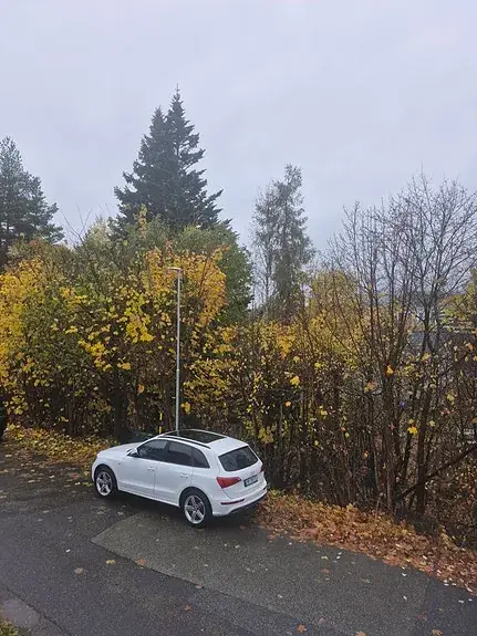 Audi Q5 2010 photo 2