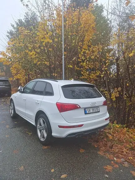 Audi Q5 2010 photo 4